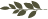 Asset 5